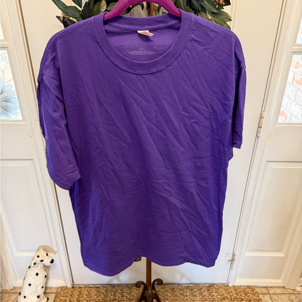 2 NWOT Hanes Purple T Shirts SS L